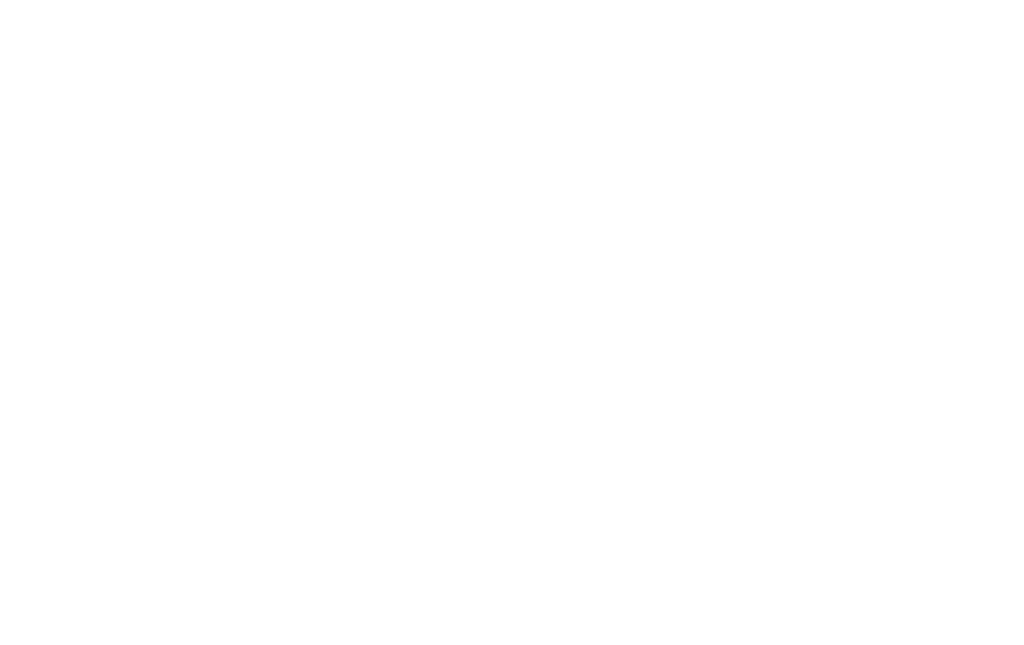 logo stulzel academy blanco