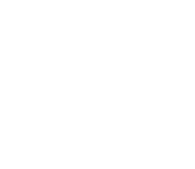 Logo blanco stulzel